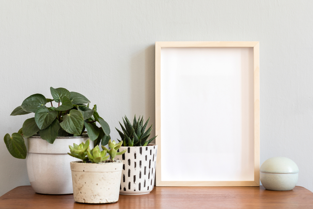 three plants and picture frame sitting on a table pressed against the wall